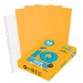 Бумага A4, 10 л., 80 г/м², старое золото, IQ «Color trend»+файл AG10/файл