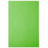 Бумага A4, 10 л., 80 г/м², зеленая липа, IQ IQ «Color intensive»+файл LG46/файл