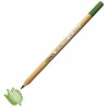 Художественный акварельный карандаш LYRA Rembrandt Aquarell, Зеленый мох L2010068