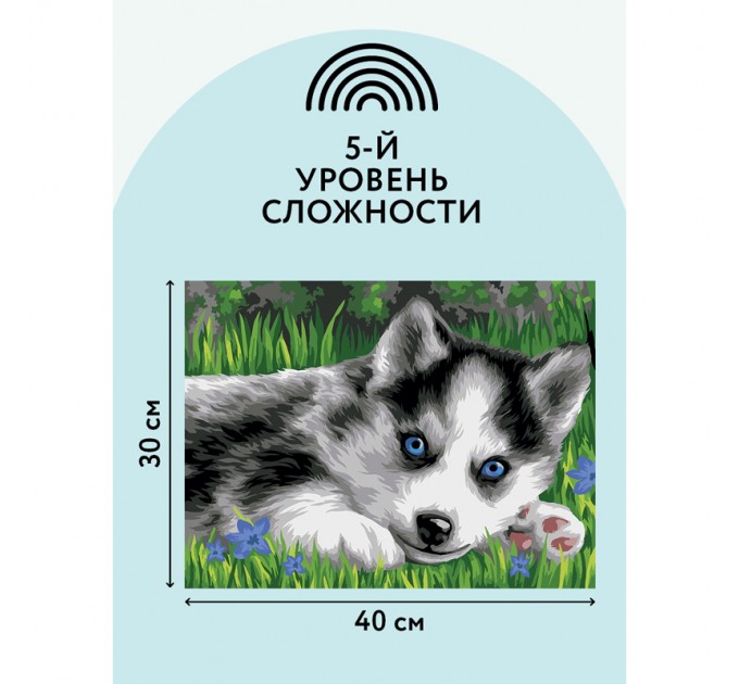 Картина по номерам с акриловыми красками «Голубоглазый пушистик», 30х40 см, на картоне КК_44043
