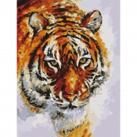 Картина по номерам «Тигр», 40х50 см, холст на подрамнике, 3 кисти 662473