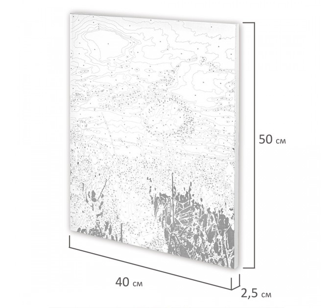 Картина по номерам «Маковое поле», 40х50 см, холст на подрамнике, 3 кисти 662493