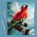 Картина по номерам Фрея «Пиратский попугай», 40x50 см, холст PNB/PL-057