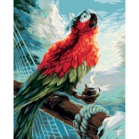 Картина по номерам Фрея «Пиратский попугай», 40x50 см, холст PNB/PL-057