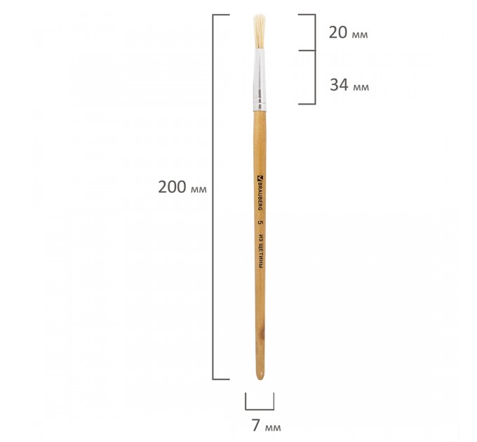 Кисть щетина круглая, №5 200196
