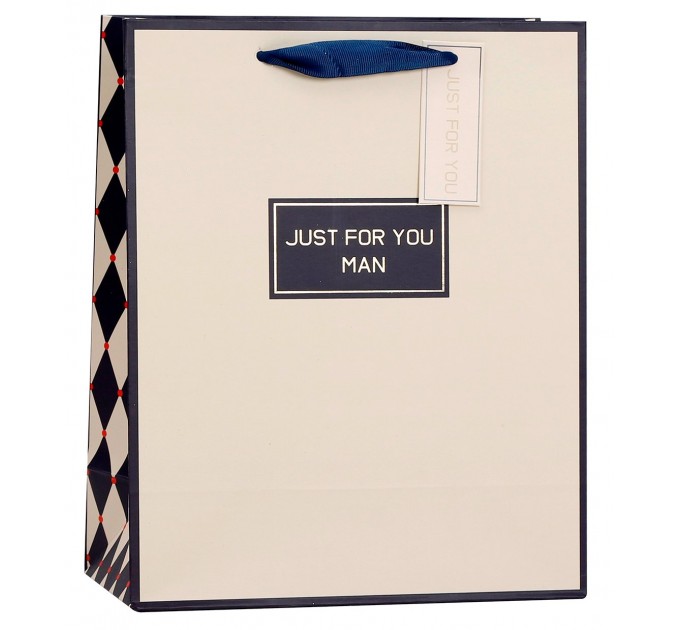 Пакет бумажный, подарочный, «JUST FOR YOU MAN» TXKR8654M-31