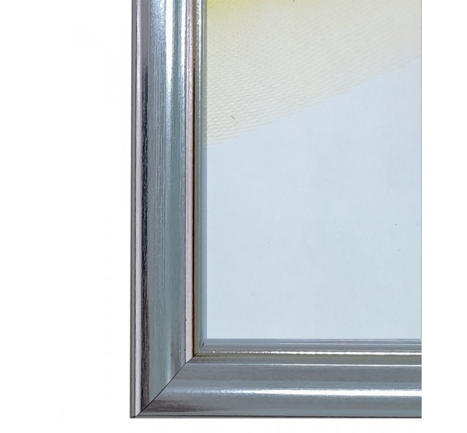 Рамка пластиковая со стеклом 21х30, серебро с позолотой 1017-2175-SILVER
