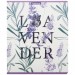 Тетрадь А5, 48 л., клетка, «Lavender», выборочный УФ-лак 58277