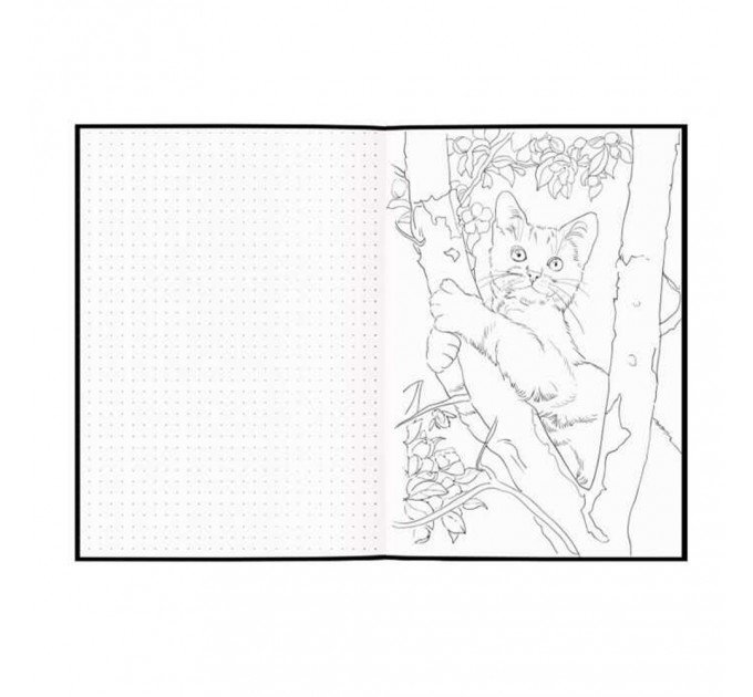Скетчпад А5, 56 л., 4 вида бумаг+раскраски, «Полевые цветы» 59874